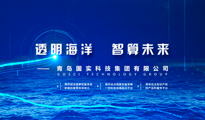 青岛国实科技集团有限公司品牌官网建设